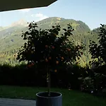 Apartment Bergblick Finkenberg