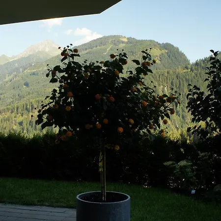 Apartment Bergblick Finkenberg