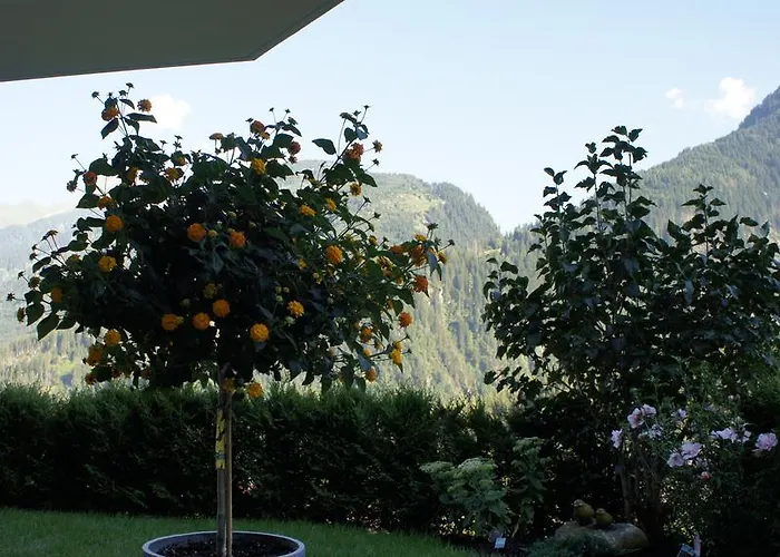 Bergblick Апартаменты *